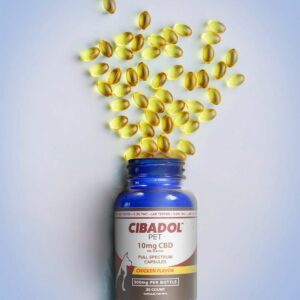 CBD Capsules