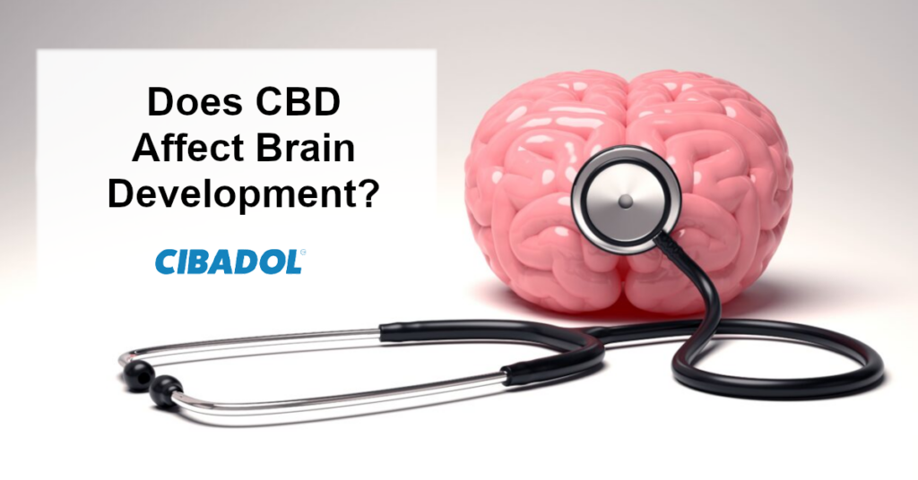 Does CBD Affect Brain Development