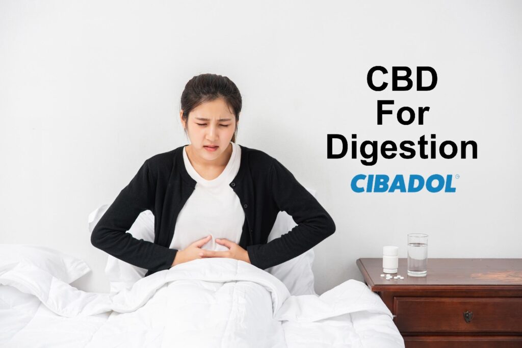CBD For Digestion