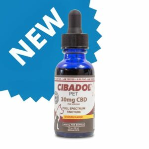 CBD Products For Pets