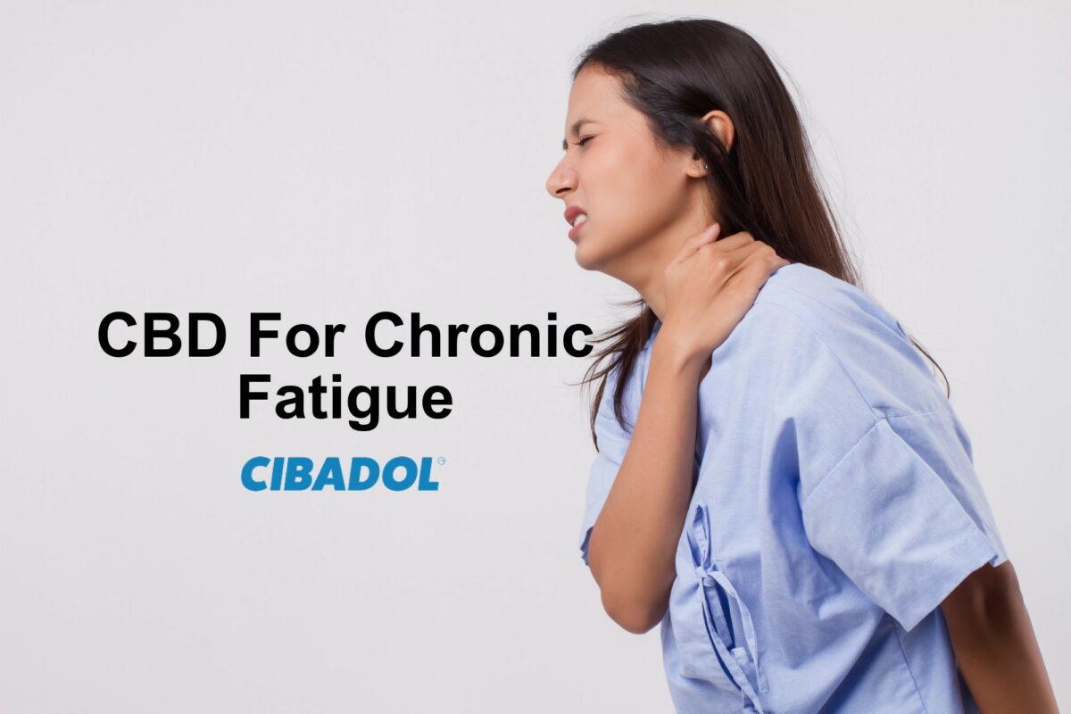 CBD For Chronic Fatigue