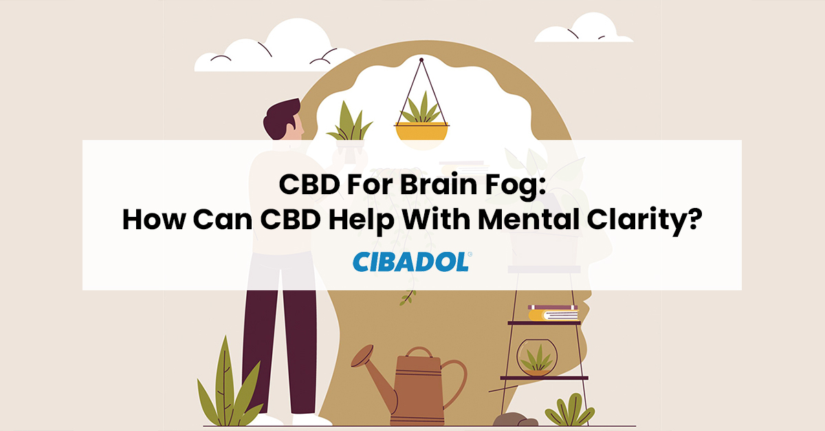 CBD For Brain Fog