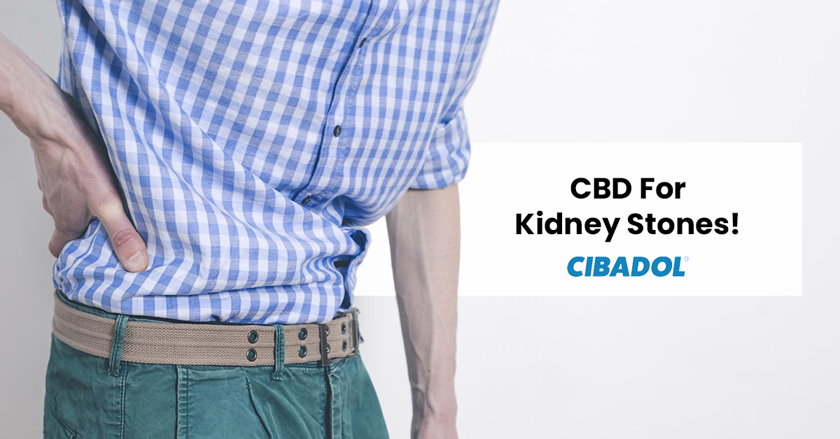 CBD For Kidney Stones