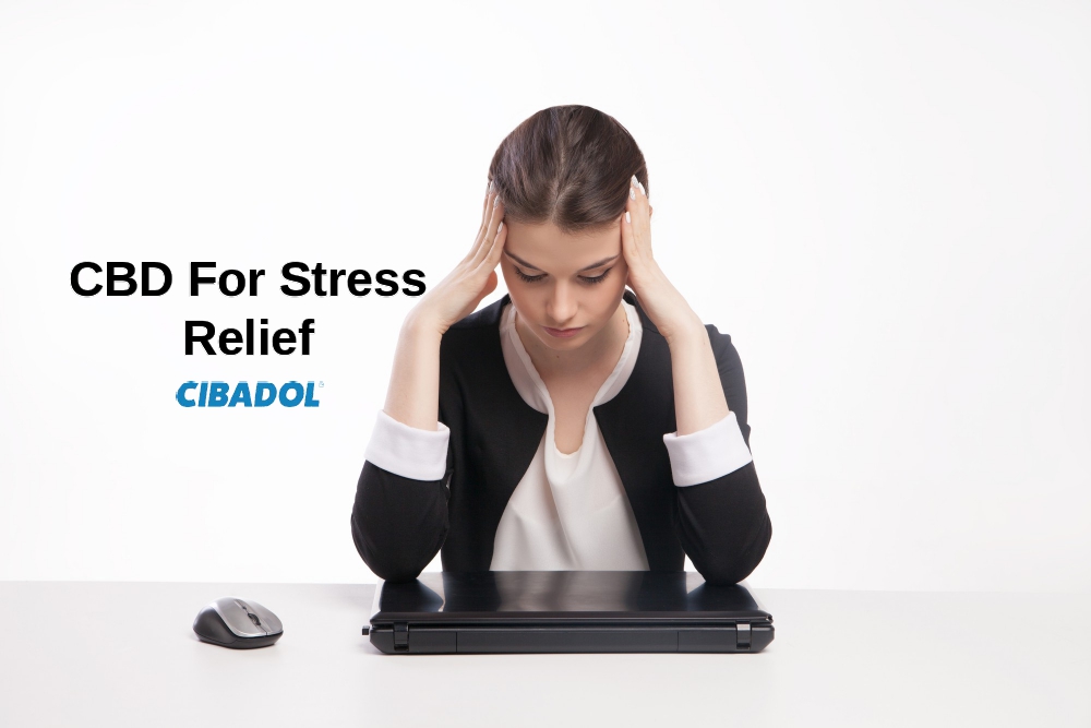 CBD For Stress Relief