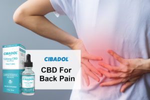 CBD And Back Pain