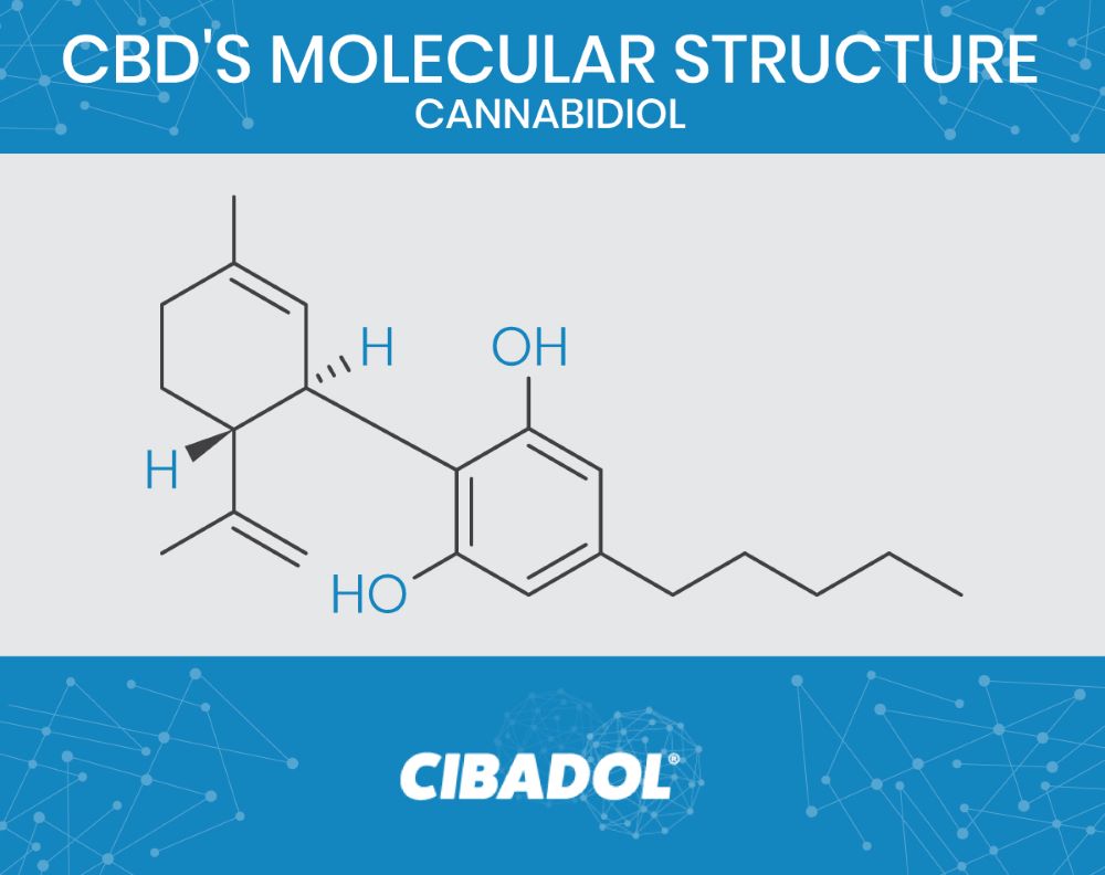 What is CBD?