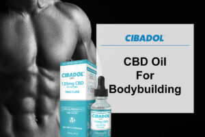 CBD Oil For Bodybuilding