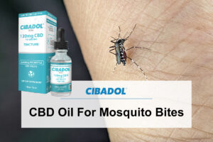 CBD Oil For Mosquito Bites