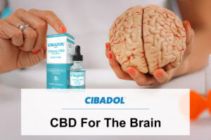 CBD For The Brain