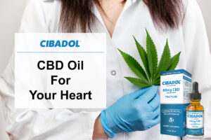 CBD Oil For Heart Health