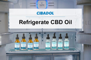 Refrigerate CBD Oil