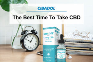 The best time to take CBD