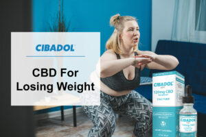 CBD For Losing Weight