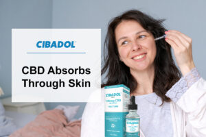 CBD Absorb Through Skin