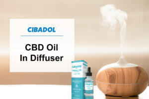 CBD Oil In Diffuser