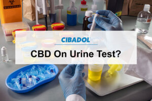 CBD On Urine Test