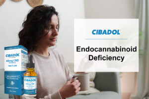 Endocannabinoid Deficiency