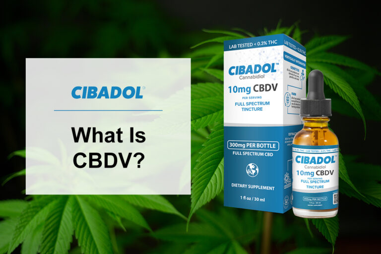 What Is CBDV