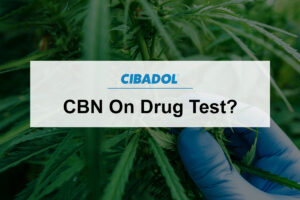 CBN On Drug Test